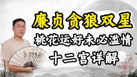 廉贞贪狼|紫微斗数：廉贞贪狼落陷